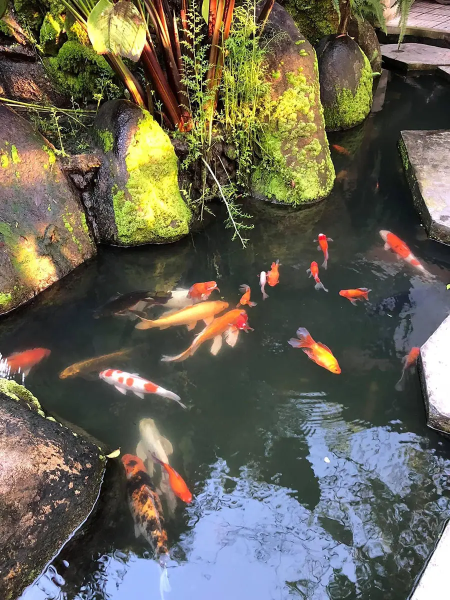 Top qu&aacute;n c&agrave; ph&ecirc; đẹp ở T&acirc;y Ninh, điểm sống ảo thả ga của giới trẻ 8