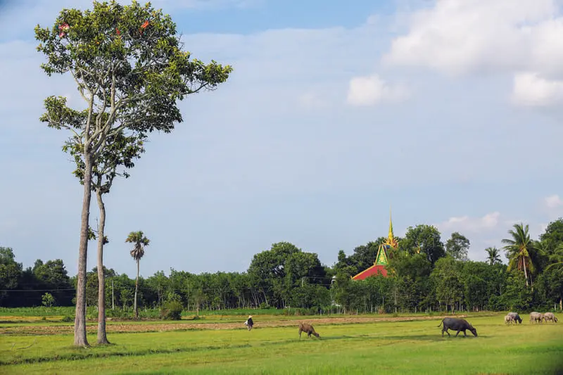 Kh&aacute;m ph&aacute; T&acirc;n Bi&ecirc;n T&acirc;y Ninh với 9 điểm du lịch độc đ&aacute;o 2