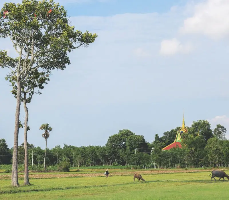 Khám phá Tân Biên Tây Ninh với 9 điểm du lịch độc đáo
