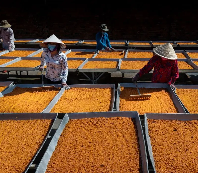 Du lịch T&acirc;y Ninh 2 ng&agrave;y 1 đ&ecirc;m: Lịch tr&igrave;nh vi vu cực xịn 7