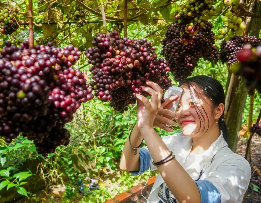 Gợi ý lịch trình hành hương Tây Ninh siêu chi tiết cho bạn 4
