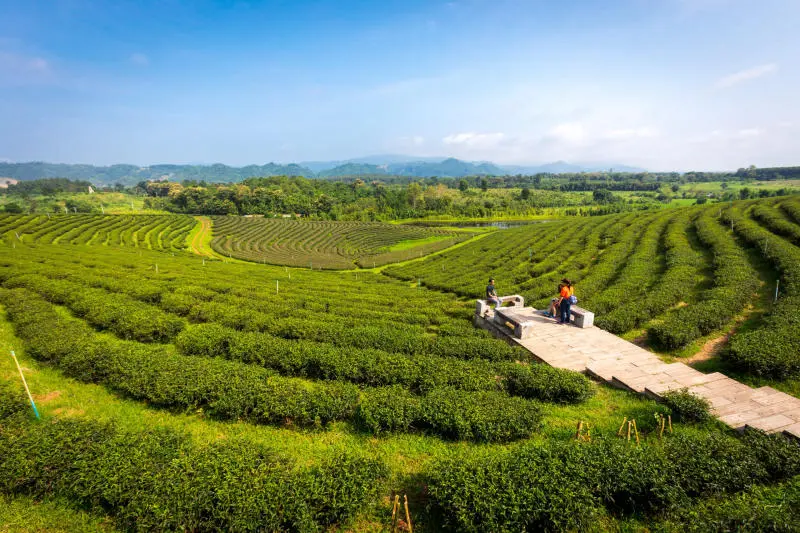 Bỏ túi kinh nghiệm du lịch Chiang Mai Tết Nguyên Đán này 9