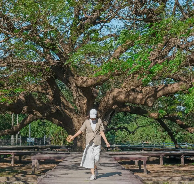 Du lịch Kanchanaburi đầy thơ mộng n&eacute;p m&igrave;nh b&ecirc;n d&ograve;ng Kwai 10