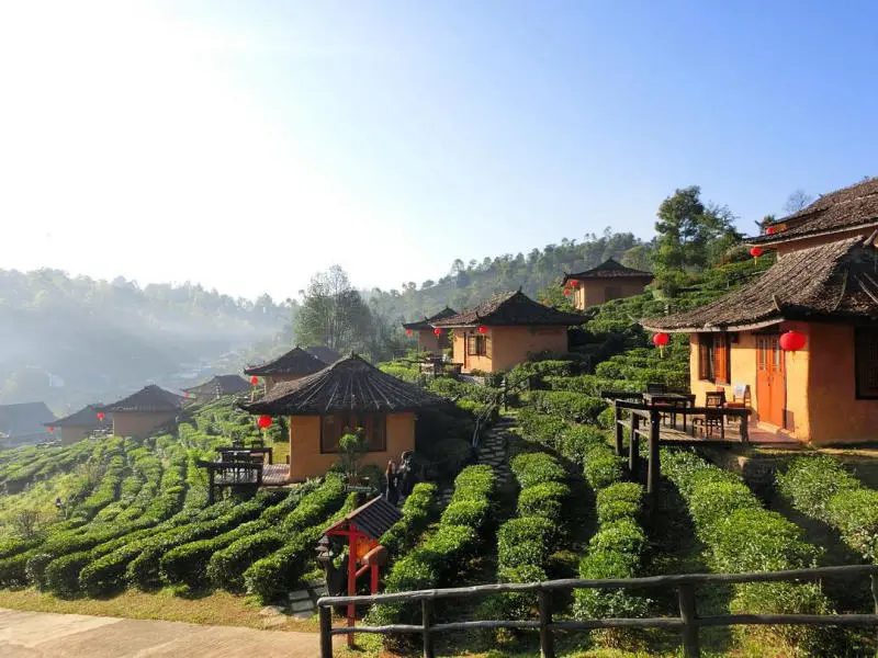 Gh&eacute; thăm l&agrave;ng Ban Rak Thai đẹp mộng mơ, y&ecirc;n ả của người Hoa 10