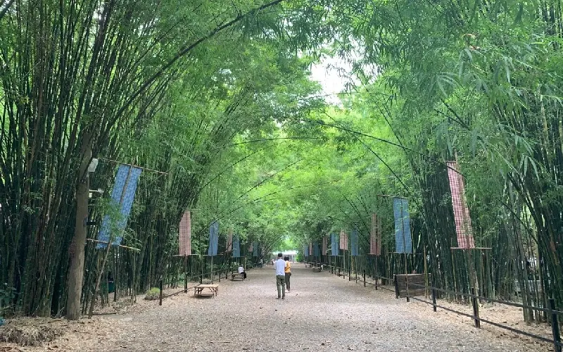 Khám phá Nakhon Nayok: Thiên nhiên xanh mát xứ chùa vàng 8