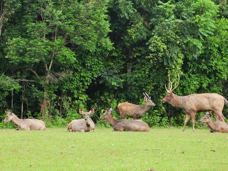 Kh&aacute;m ph&aacute; Nakhon Ratchasima vang danh xứ sở ch&ugrave;a V&agrave;ng 7