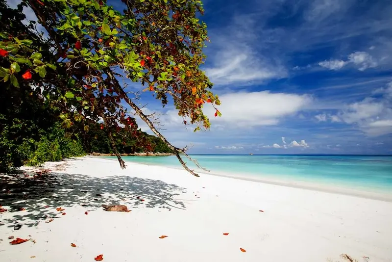 Koh Similan, thi&ecirc;n đường chốn hạ giới ngo&agrave;i khơi Th&aacute;i Lan 6