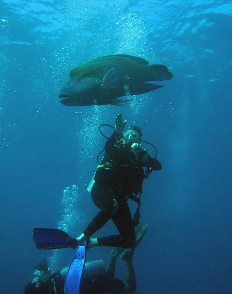 Koh Similan, thi&ecirc;n đường chốn hạ giới ngo&agrave;i khơi Th&aacute;i Lan 12