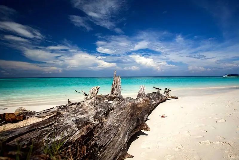 Koh Similan, thi&ecirc;n đường chốn hạ giới ngo&agrave;i khơi Th&aacute;i Lan 7