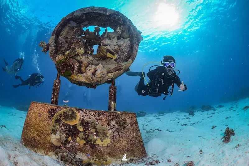 Koh Similan, thi&ecirc;n đường chốn hạ giới ngo&agrave;i khơi Th&aacute;i Lan 11
