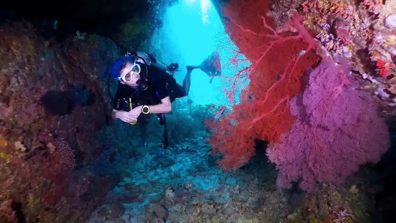 Koh Similan, thi&ecirc;n đường chốn hạ giới ngo&agrave;i khơi Th&aacute;i Lan 14