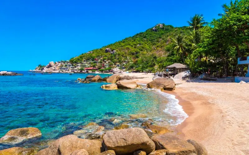 Koh Tao, điểm lặn biển nổi tiếng h&agrave;ng đầu Th&aacute;i Lan 7