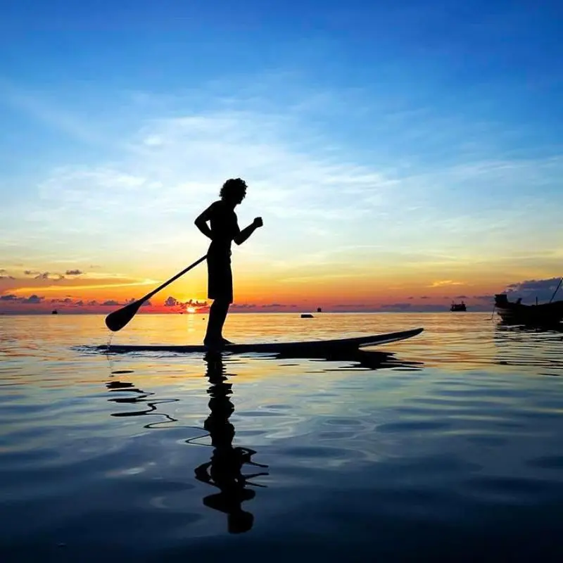 Koh Tao, điểm lặn biển nổi tiếng h&agrave;ng đầu Th&aacute;i Lan 8