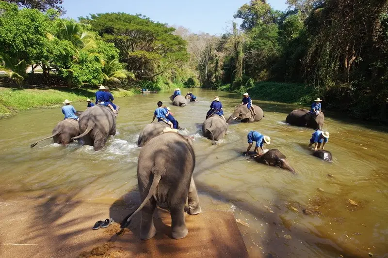 Lampang Th&aacute;i Lan thị trấn b&igrave;nh y&ecirc;n b&ecirc;n tiếng v&oacute; ngựa lọc cọc 8