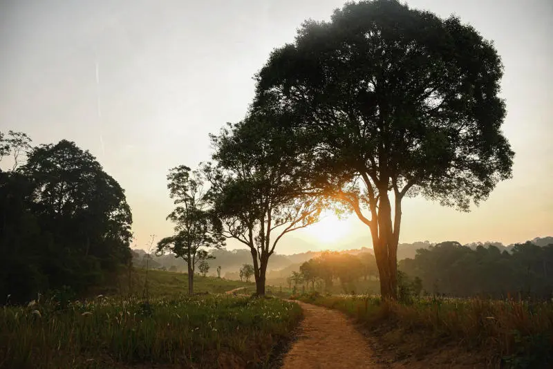 Review Khao Yai, c&ocirc;ng vi&ecirc;n quốc gia lớn thứ 3 Th&aacute;i Lan 2