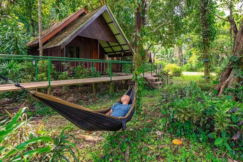Vườn quốc gia Khao Sok tiên cảnh giữa những ngọn núi đá vôi Thái Lan 5