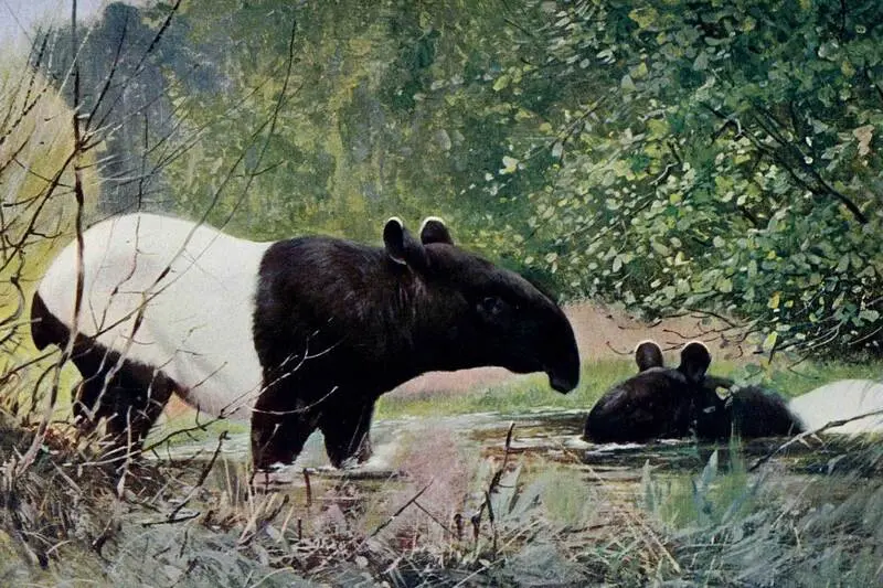 Vườn quốc gia Khao Sok tiên cảnh giữa những ngọn núi đá vôi Thái Lan 9