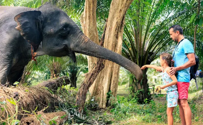Vườn quốc gia Khao Sok tiên cảnh giữa những ngọn núi đá vôi Thái Lan 8