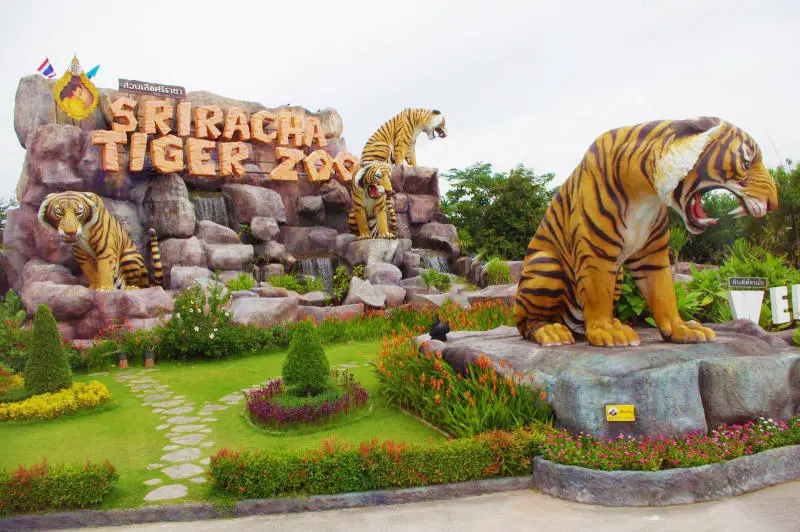 Kh&aacute;m ph&aacute; tour du lịch Th&aacute;i Lan 4 ng&agrave;y 3 đ&ecirc;m v&agrave; những trải nghiệm th&uacute; vị 4