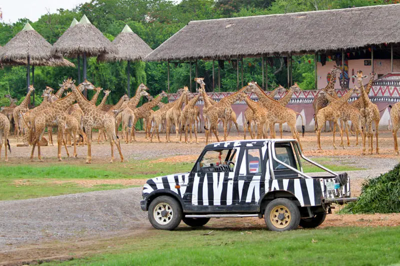 Kh&aacute;m ph&aacute; tour du lịch Th&aacute;i Lan 4 ng&agrave;y 3 đ&ecirc;m v&agrave; những trải nghiệm th&uacute; vị 15