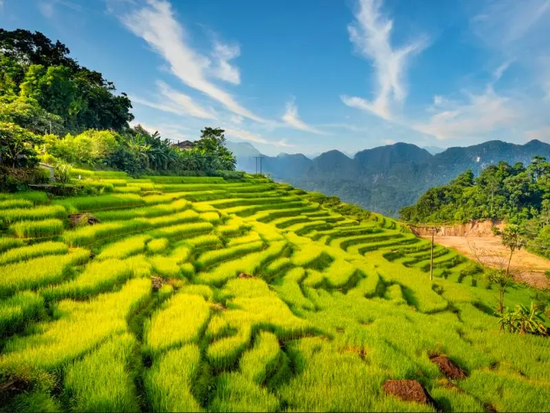 Khám phá Pù Luông Thanh Hóa với nét đẹp bình yên, dung dị 2