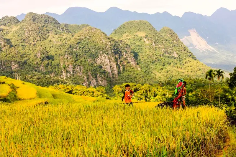 Khám phá Pù Luông Thanh Hóa với nét đẹp bình yên, dung dị 3