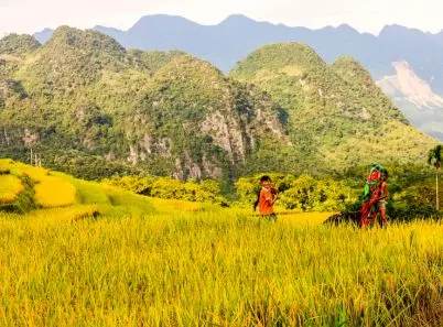 Khám phá Pù Luông Thanh Hóa với nét đẹp bình yên, dung dị