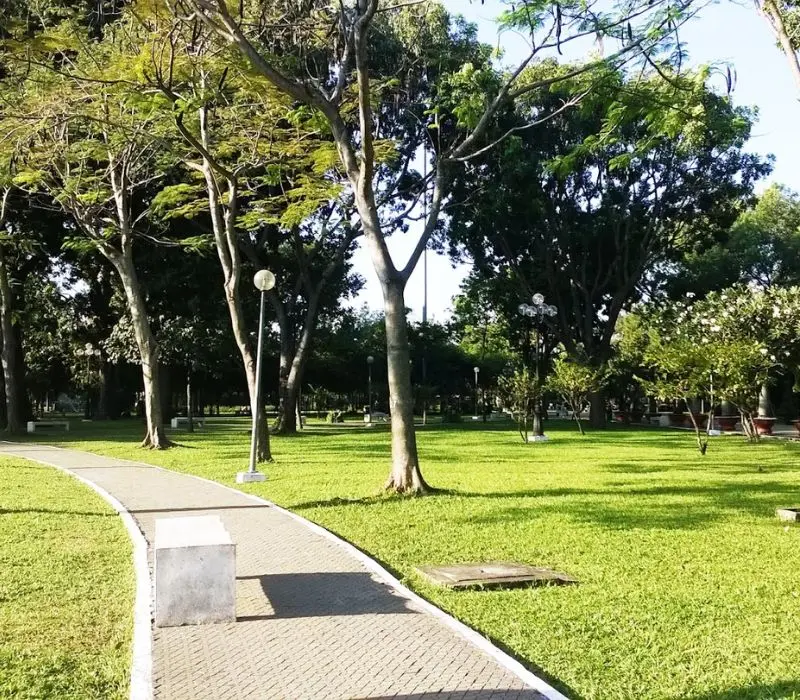 Công viên Gia Định: Ốc đảo xanh giữa Sài Gòn phồn hoa
