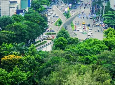 Công viên Hoàng Văn Thụ, điểm đến xanh giữa lòng Sài thành