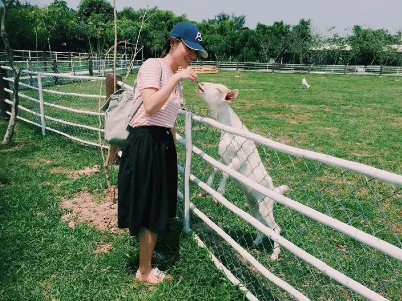 8 khu vui chơi trẻ em TPHCM ph&ugrave; hợp cho c&aacute;c gia đ&igrave;nh 7