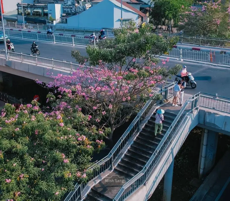 Cầu Calmette: Điểm đến lạ m&agrave; quen cho chuyến kh&aacute;m ph&aacute; S&agrave;i G&ograve;n 4