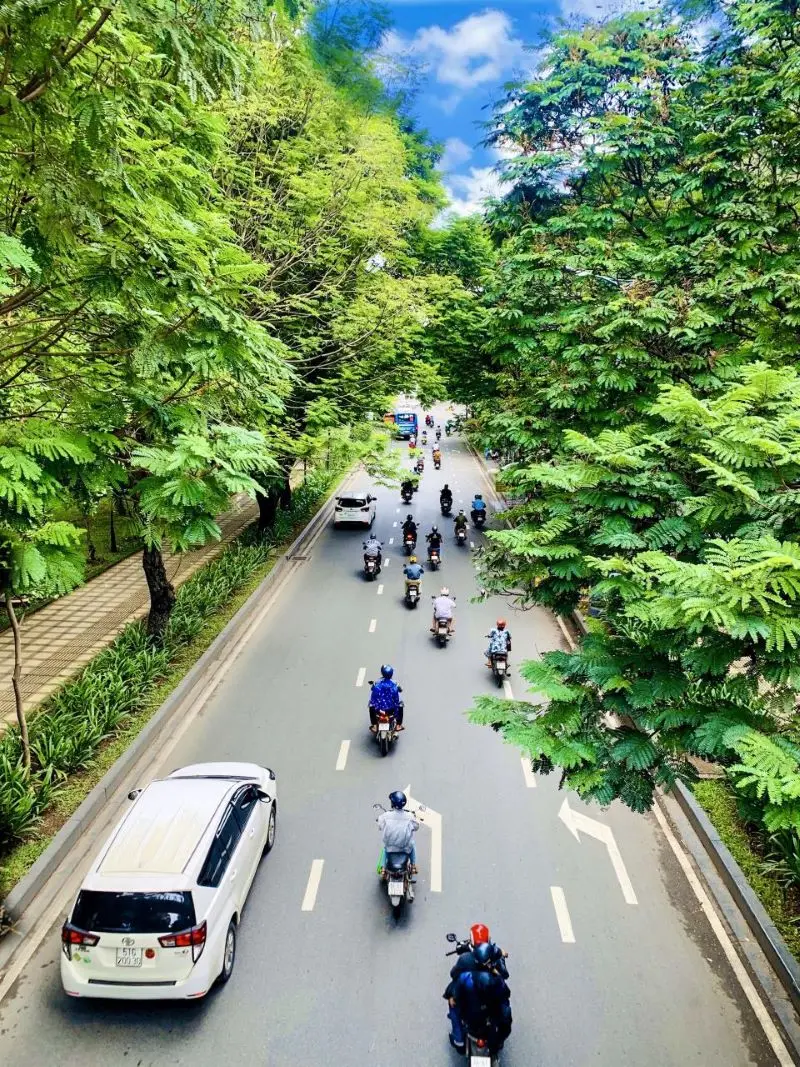 C&ocirc;ng vi&ecirc;n Ho&agrave;ng Văn Thụ, điểm đến xanh giữa l&ograve;ng S&agrave;i th&agrave;nh 4