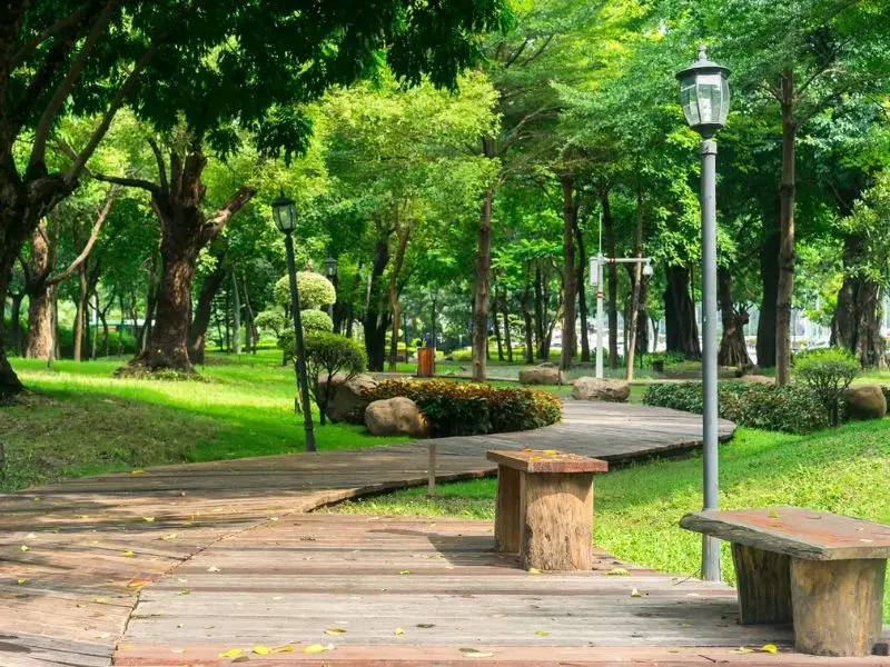 C&ocirc;ng vi&ecirc;n L&ecirc; Thị Ri&ecirc;ng - Địa điểm ăn chơi cực đ&atilde; tại S&agrave;i G&ograve;n 4