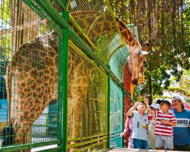 Đầm Sen Kh&ocirc;: Cập Nhật Gi&aacute; V&eacute; v&agrave; Hoạt Động Mới năm 2026 13