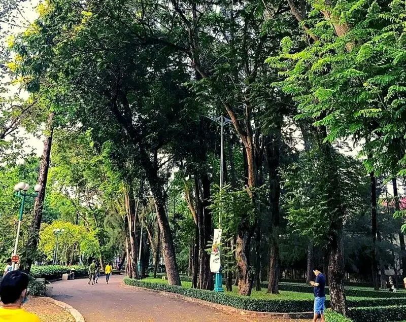Dạo chơi C&ocirc;ng vi&ecirc;n Ph&uacute; L&acirc;m Quận 6: Khoảng xanh m&aacute;t l&agrave;nh ph&iacute;a T&acirc;y S&agrave;i G&ograve;n 4