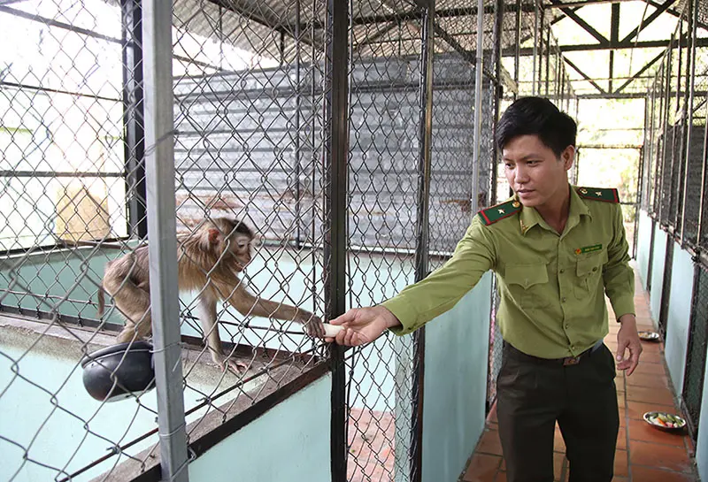 Địa đạo Củ Chi - Hầm căn cứ khiến cả thế giới kinh ngạc 27