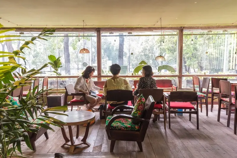 Hồ Con R&ugrave;a - Địa điểm vui chơi đặc sắc giữa l&ograve;ng S&agrave;i G&ograve;n 7