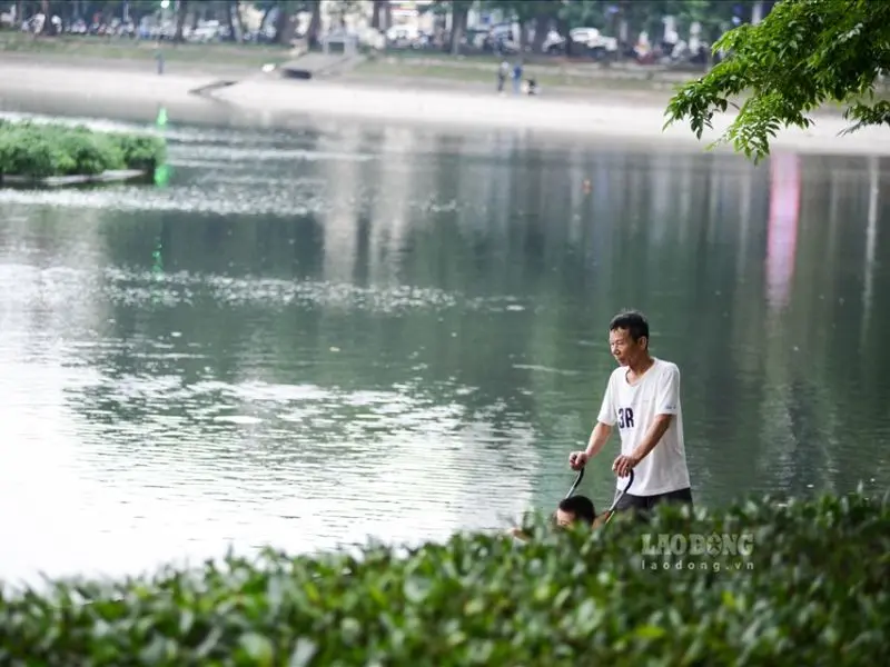 Hồ Thiền Quang: H&ograve;a m&igrave;nh v&agrave;o kh&ocirc;ng gian thơ mộng giữa thủ đ&ocirc; H&agrave; Nội 6