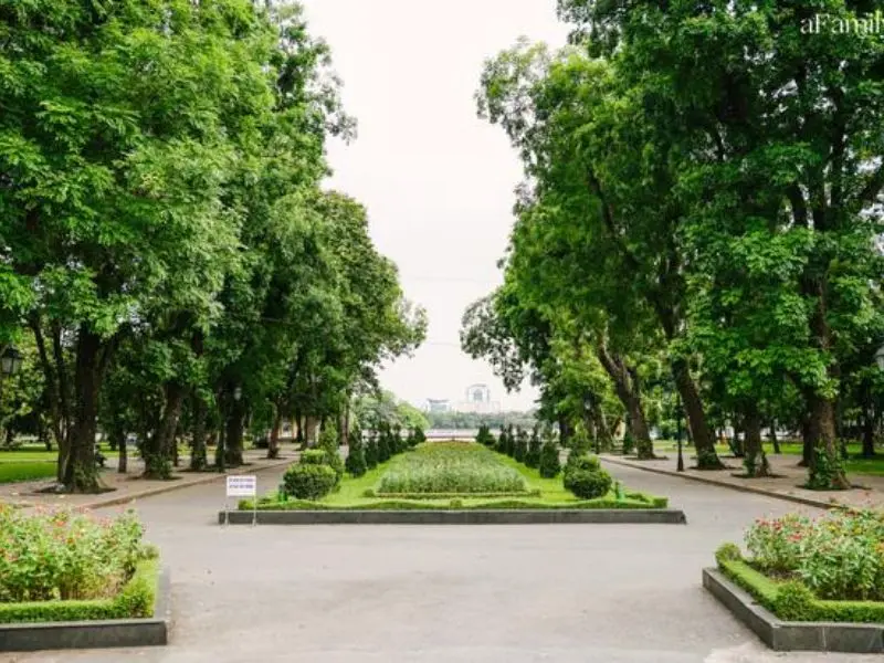 Hồ Thiền Quang: H&ograve;a m&igrave;nh v&agrave;o kh&ocirc;ng gian thơ mộng giữa thủ đ&ocirc; H&agrave; Nội 10