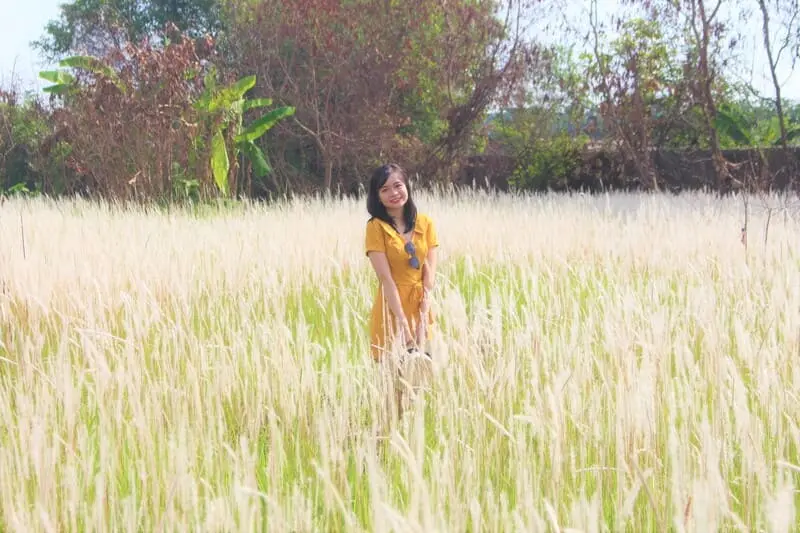 H&oacute;a n&agrave;ng thơ giữa Đồng cỏ lau L&agrave;ng Đại học th&agrave;nh phố 8