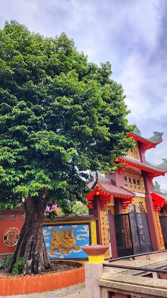 Tham quan ng&ocirc;i Ch&ugrave;a Một Cột Thủ Đức Nam Thi&ecirc;n Nhất Trụ 8
