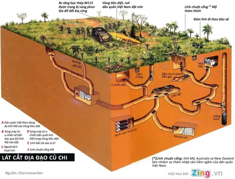 T&igrave;m về lịch sử khi tham quan Địa Đạo Bến Dược Củ Chi 5