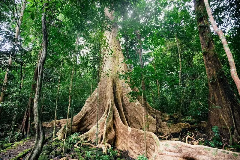 Top 10 điểm du lịch gần S&agrave;i G&ograve;n để thư gi&atilde;n dịp cuối tuần 20
