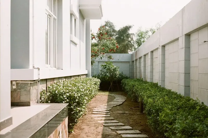 Xã đảo Thạnh An xanh ngắt trước biển xanh hiền hòa 17