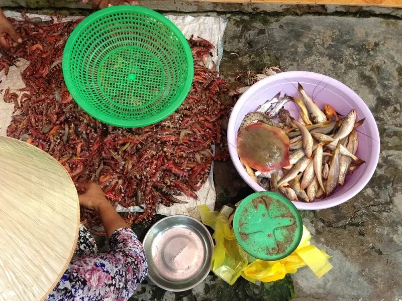 Xã đảo Thạnh An xanh ngắt trước biển xanh hiền hòa 14
