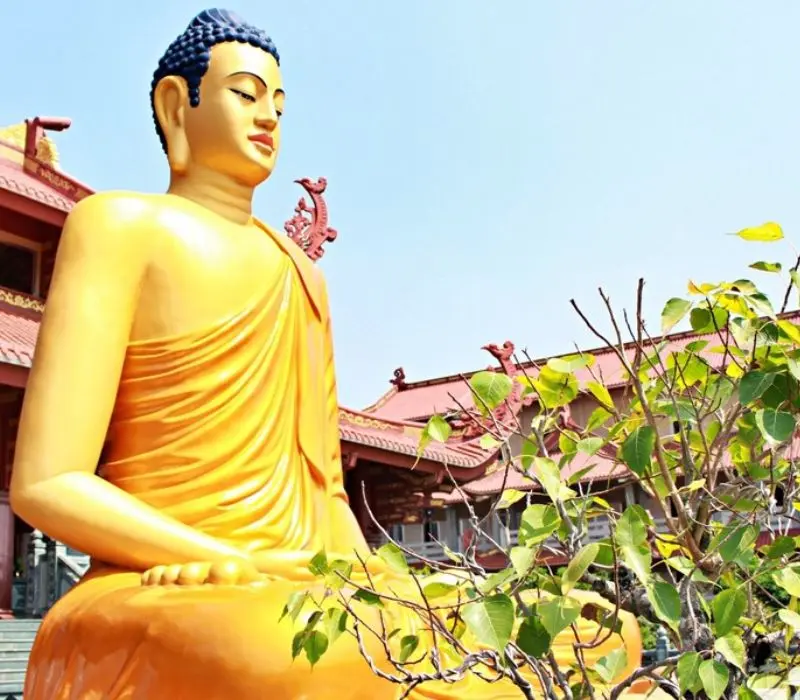 Khám phá chùa Phật cô đơn bình yên giữa nhịp sống đô thị