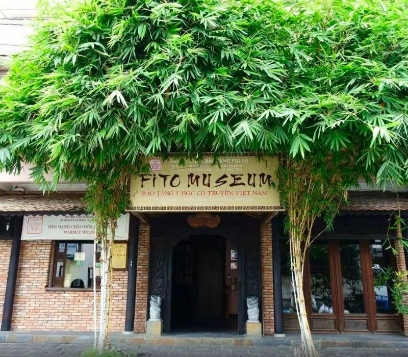 Tham quan bảo tàng Y học cổ truyền Việt Nam giữa lòng Sài Gòn