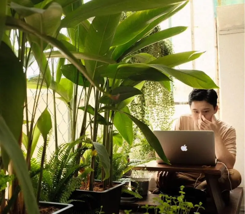 Cà Rề Cafe: quán quen yên tĩnh cho hội thường chạy deadline