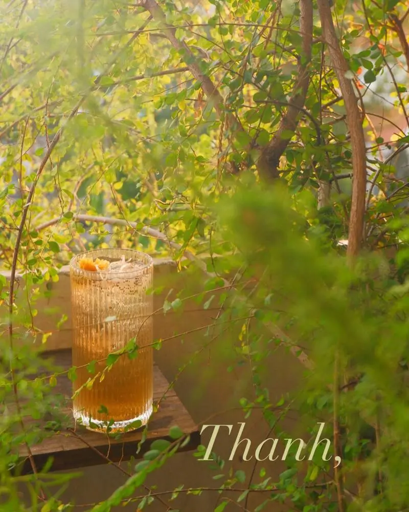 Em C&oacute; cafe ấm c&uacute;ng như ng&ocirc;i nh&agrave; nhỏ giữa l&ograve;ng S&agrave;i G&ograve;n 9
