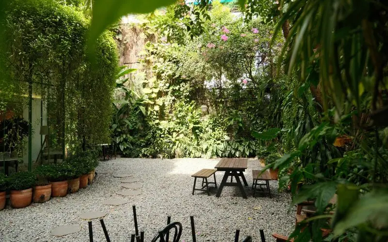 Kh&aacute;m ph&aacute; Beanthere Cafe, khu vườn xanh m&aacute;t giữa l&ograve;ng S&agrave;i G&ograve;n 6